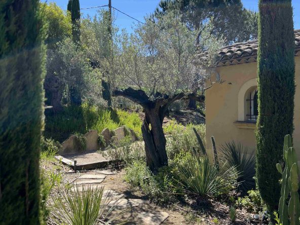 Cap_Bastide_R_3331