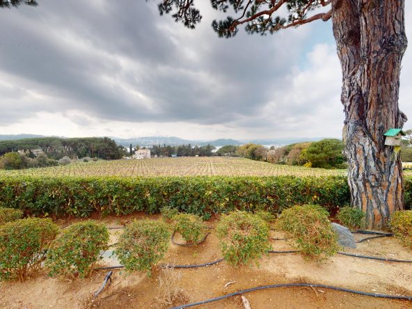 Des_Parcs vue vignes